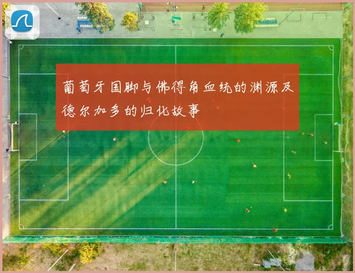 葡萄牙国脚与佛得角血统的渊源及德尔加多的归化故事
